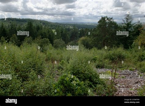 Somerset Wiltshire Border Hi Res Stock Photography And Images Alamy