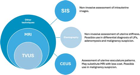 Clinical Signs And Diagnosis Of Fibroids From Adolescence To Menopause