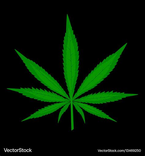 Cannabis leaf on black background Royalty Free Vector Image