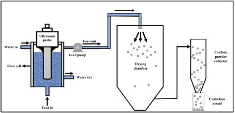 Influence of Bulk Nanobubbles Generated by Acoustic Cavitation on