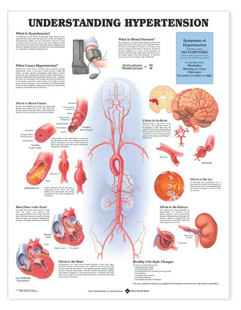 Reference Chart Understanding Hypertension