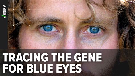 All Blue Eyed People Come From A Shared Common Ancestor