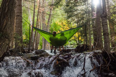 11 Nature Rich Forest School Activities For Your Toddler