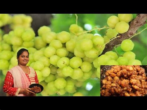 Arai Nellikai Oorugai Recipe In Tamil Small Gooseberry Pickle Recipe