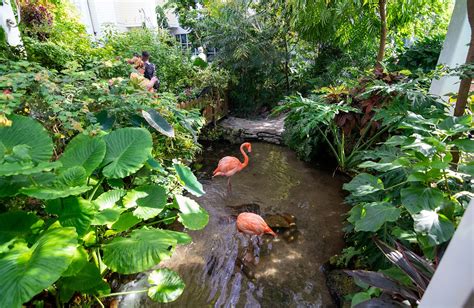 Key West Butterfly Nature Conservatory Key West Florida