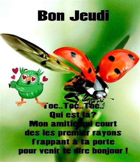 Bonjour Tout Le Monde