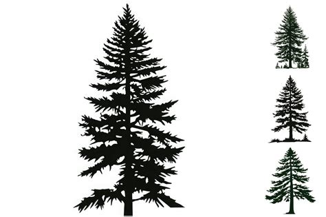 Pine Tree Silhouette Graphic By Background Graphics Illustration · Creative Fabrica