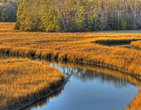 York River State Park in Williamsburg, Virginia - Kid-friendly ...