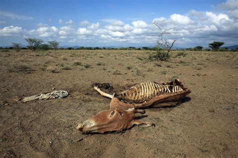 21 imagens que mostram as consequências das alterações climáticas