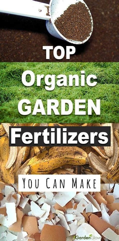 Homemade Fertilizer For Lawns Organic Vegetable Garden Garden Fertilizer Organic Gardening Tips