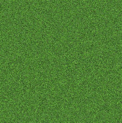 Green grass texture can be use as background 21660164 Stock Photo at Vecteezy