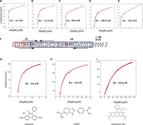 Binding Isotherms Of Mepr And Selected Ligands A Through D