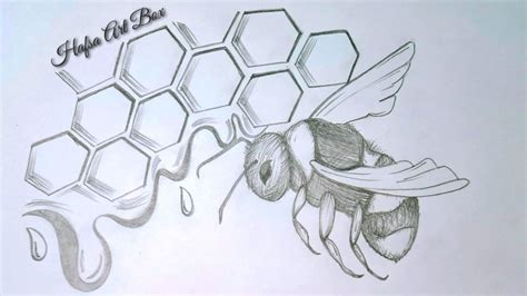 Bee Honeycomb Drawing