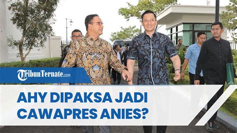 Bantahan Keras Partai Demokrat Bahas Tudingan Nasdem Soal Ahy Dipaksa