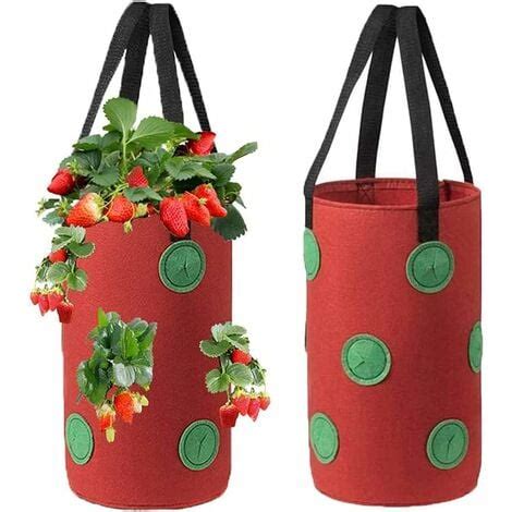 Aiducho Pcs Sac De Plantation Pour Fraise Sacs De Culture Fraises