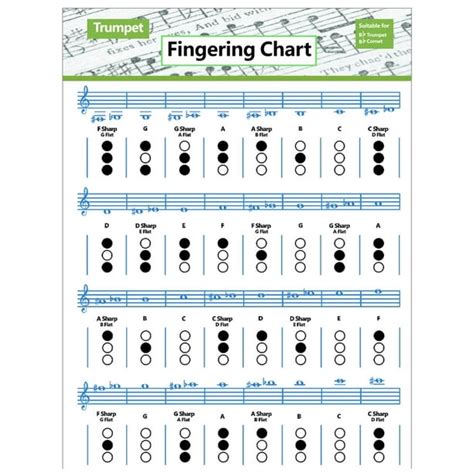 Qilin Trumpet Fingering Chart Clear Illustration Waterproof Refreshing