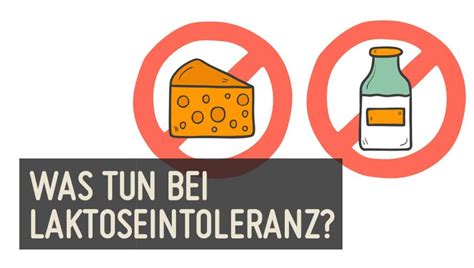 Paleo Lösung für Laktoseintoleranz Paleo360 de