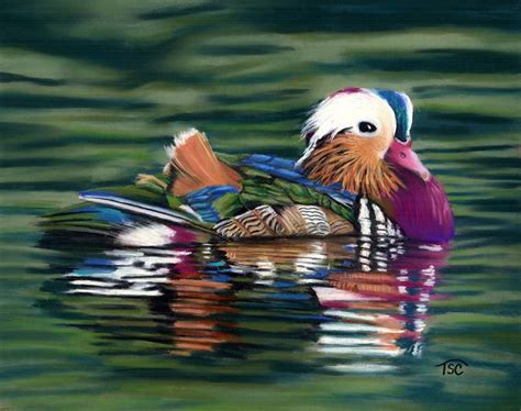 Mandarin Duck Painting By Tammy Crawford Fine Art America