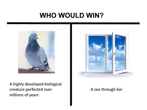 Who would win : r/memes