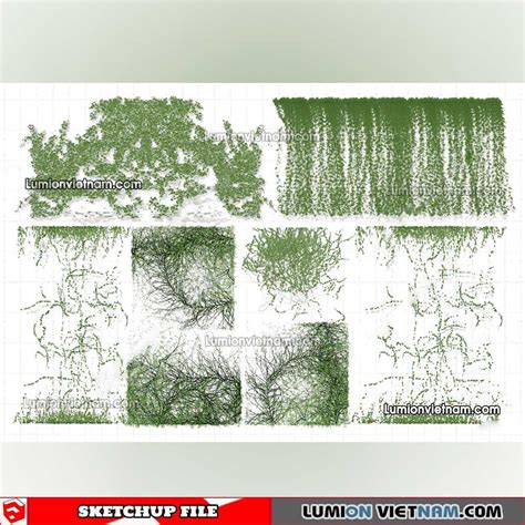 Creeper Plants Sketchup Models