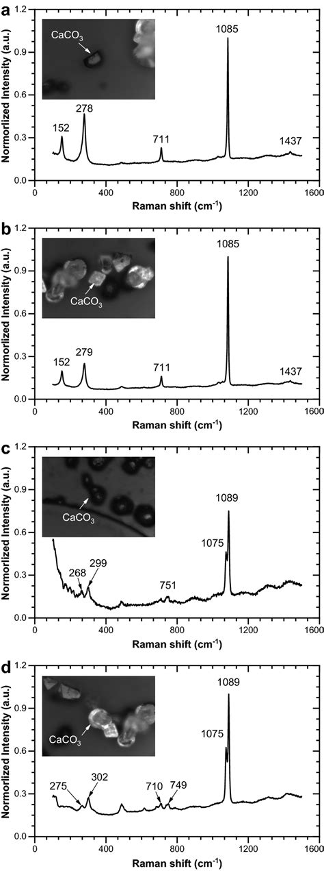 Color Raman Spectra Of Caco3 Crystals A Crystal I B Crystal Ii