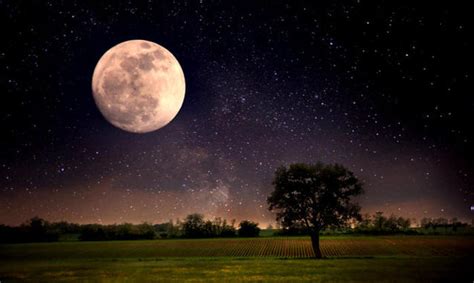 Lo Spettacolo Delle Perseidi E La Superluna In Arrivo Una Notte Di San