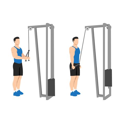 Tricep Pushdown Uitleg En Tips Voor Sterke Triceps