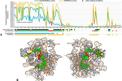 Predictions Of RBRs For The 60S Ribosomal Protein L28 UniProt ID