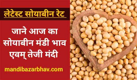 Soybean Ka Bhav Today 17 Jan 2024 सोयाबीन मंडी भाव में आज कितनी तेजी जानें एमपी महाराष्ट्र