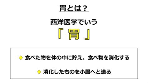 鍼灸学生さん集まれ東洋医学がこれであなたも分かる 第20回 胃の役割について りょうじのブログ Cmon