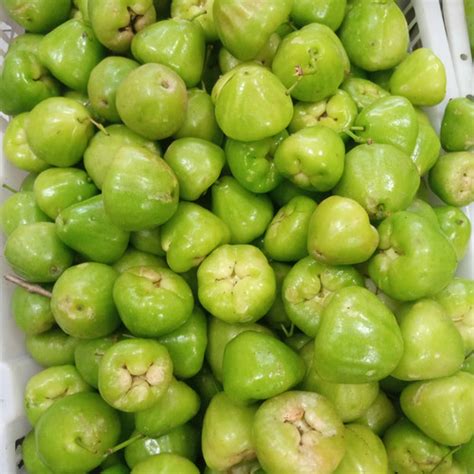 Jual Buah Jambu Air Hijau Fresh Manis Per Kg Instan Same Day