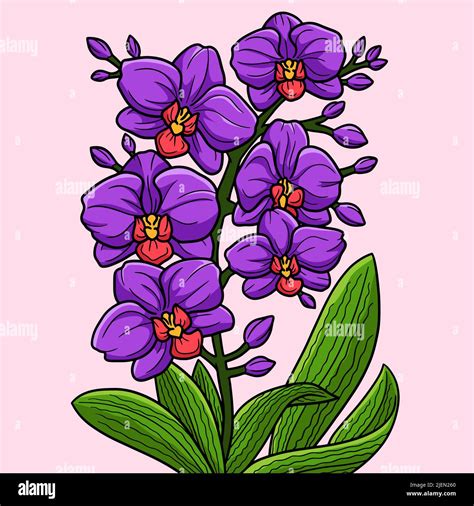 Disegno Di Orchidee Da Colorare Im Genes Vectoriales De Stock Alamy