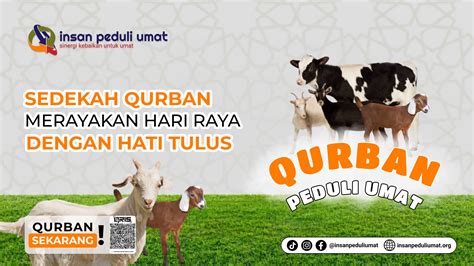 Campaign Qurban Kita Harapan Mereka Yayasan Insan Peduli Umat