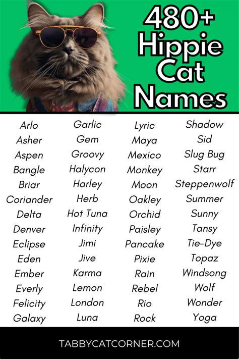 Best 653 Catchy Female Cat Names in 2024