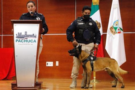 Retiran A Agente Canino De Pachuca Por Complicaciones En La Salud