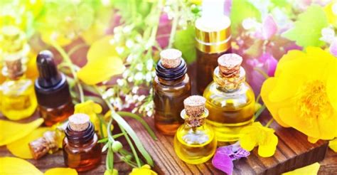 13 Essential Oils For Treating Vertigo Well Being Secrets