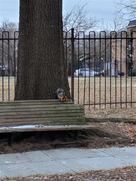 Somebody got lucky : r/funny