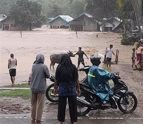 Monta Dilanda Banjir Bandang Warga Alami Kerugian Ratusan Miliar Ntb