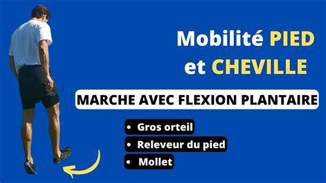 Exercice Musculation PIED CHEVILLE Marche Flexion Plantaire