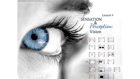 Sensation And Perception Vision By Jason Whetten On Prezi