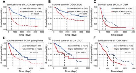 Survival Analysis For Bdkrb In Pan Glioma A D Lgg B E And Gbm