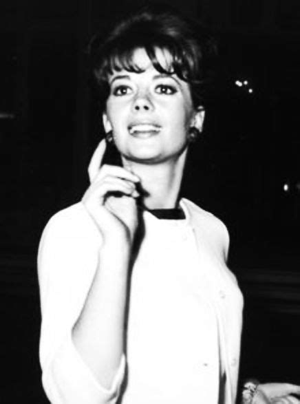 Natalie Wood Natalie Wood Natalie Wood Photograph