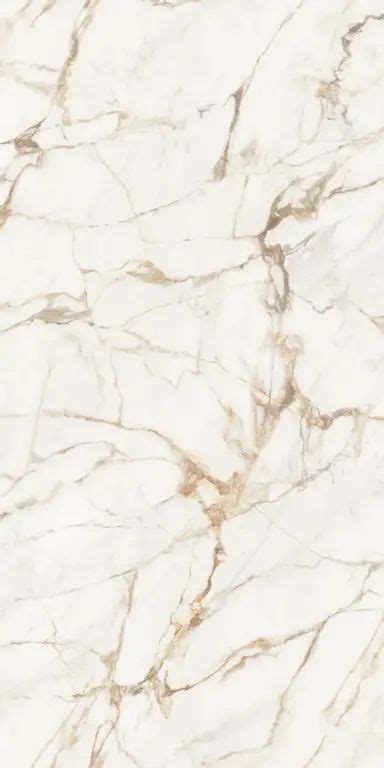 XTONE Calacatta Gold Marble Effect Collection In 2022 Calacatta