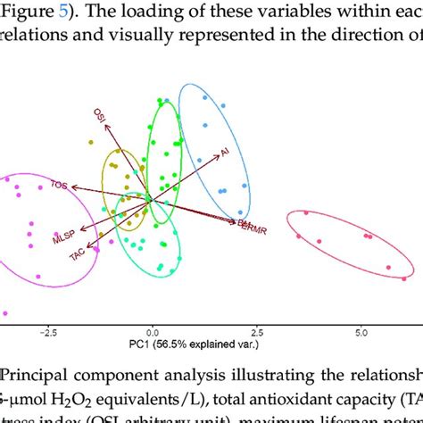 Principal Component Analysis Illustrating The Relationships Between The