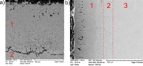 Sem Microstructure Of The Gas Borided Inconel 600 Alloy A Sample Download Scientific Diagram