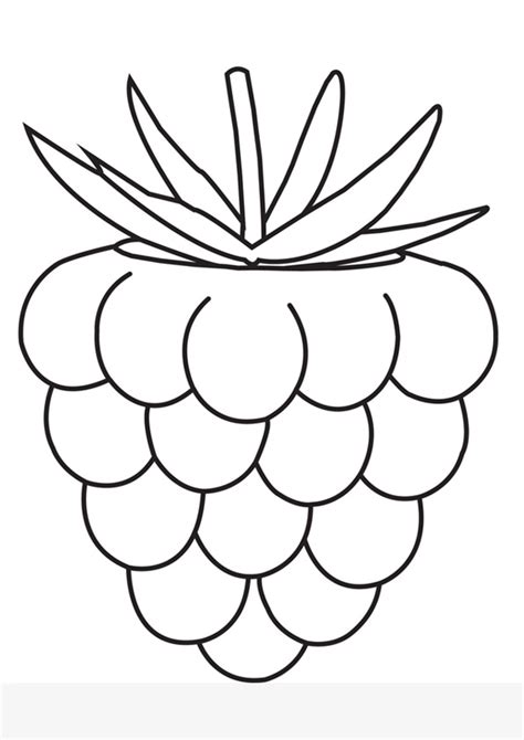 Coloring Pages Free Printable Raspberry Fruits Coloring Pages