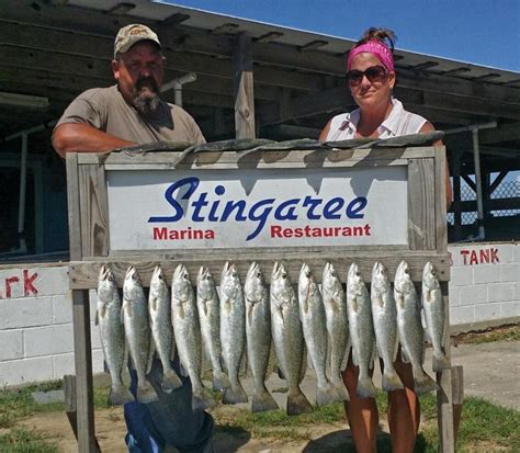 Galveston Bay Fishing Photos, Galveston Fishing Photos