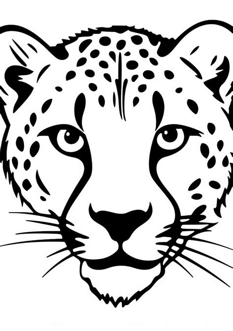 Cheetah — Coloring Pages: Free & Printable