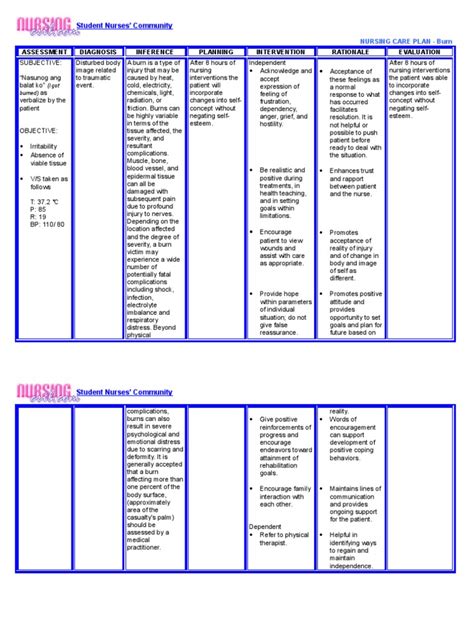 Nursing Care Plan Burn Burn Physical Therapy