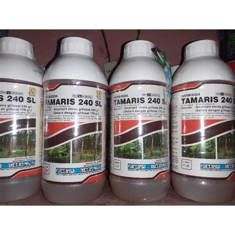 Jual Herbisida Tamaris Sl Racun Rumput Sistemik Shopee Indonesia